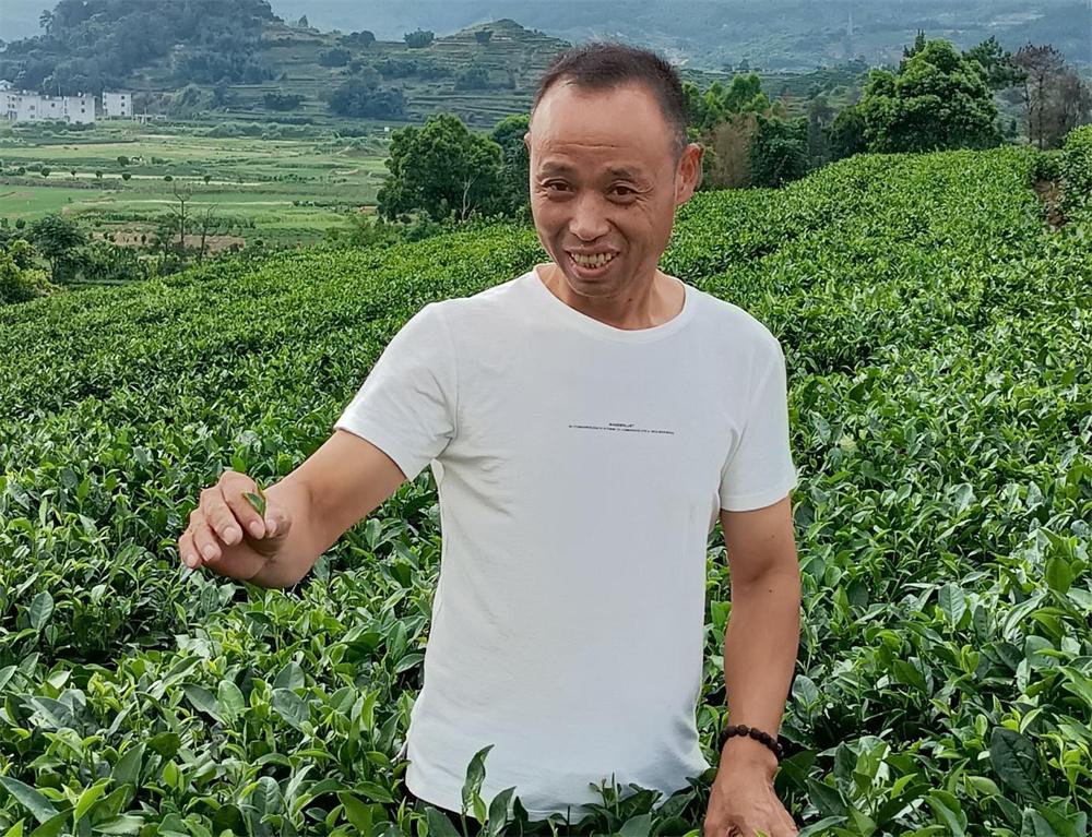 霞浦肺炎最新動(dòng)態(tài)與小巷深處的獨(dú)特風(fēng)味