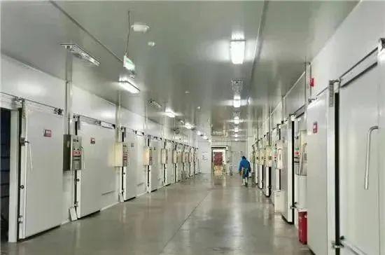 最新烘房技術(shù)革新與應(yīng)用展望