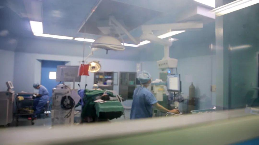 最新打工網(wǎng)，探尋自然美景，尋覓內(nèi)心平和與寧靜的旅程