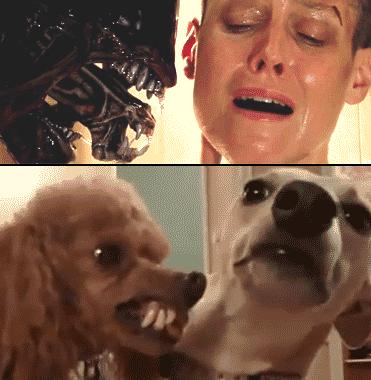 深度解析電影異形最新死亡場(chǎng)景與科幻元素融合劇情發(fā)展