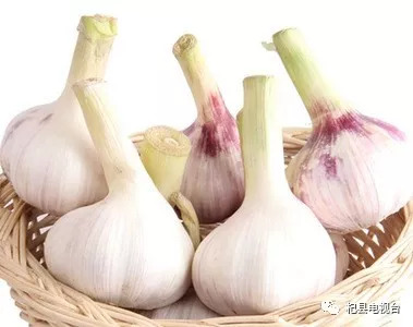 大蒜最新價(jià)格行情與友情的交織故事