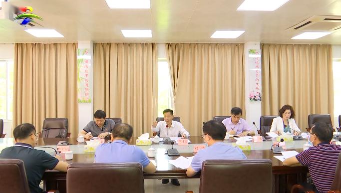 吳川新聞最新消息全面回顧與概述