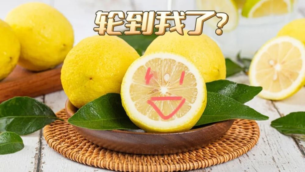 檸檬價(jià)格最新行情深度解析