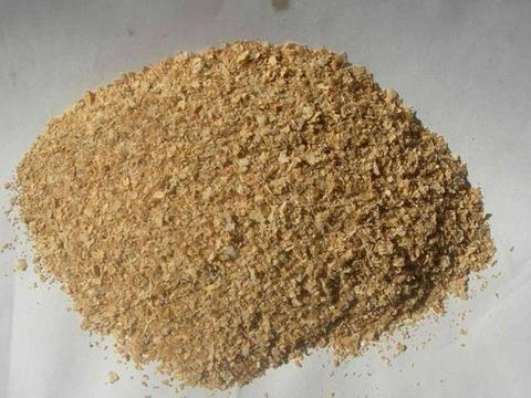 麩皮價格的最新動態(tài)與奇妙旅程