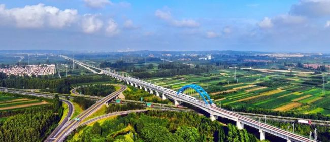 諸城禁養(yǎng)最新消息，日常故事中的溫馨與調(diào)整之路