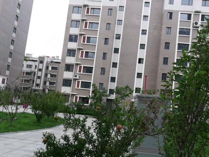 池州新港花園最新動(dòng)態(tài),購(gòu)房指南與技能學(xué)習(xí)全解析