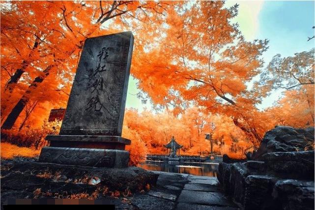 江寧小丹陽最新動(dòng)態(tài)更新