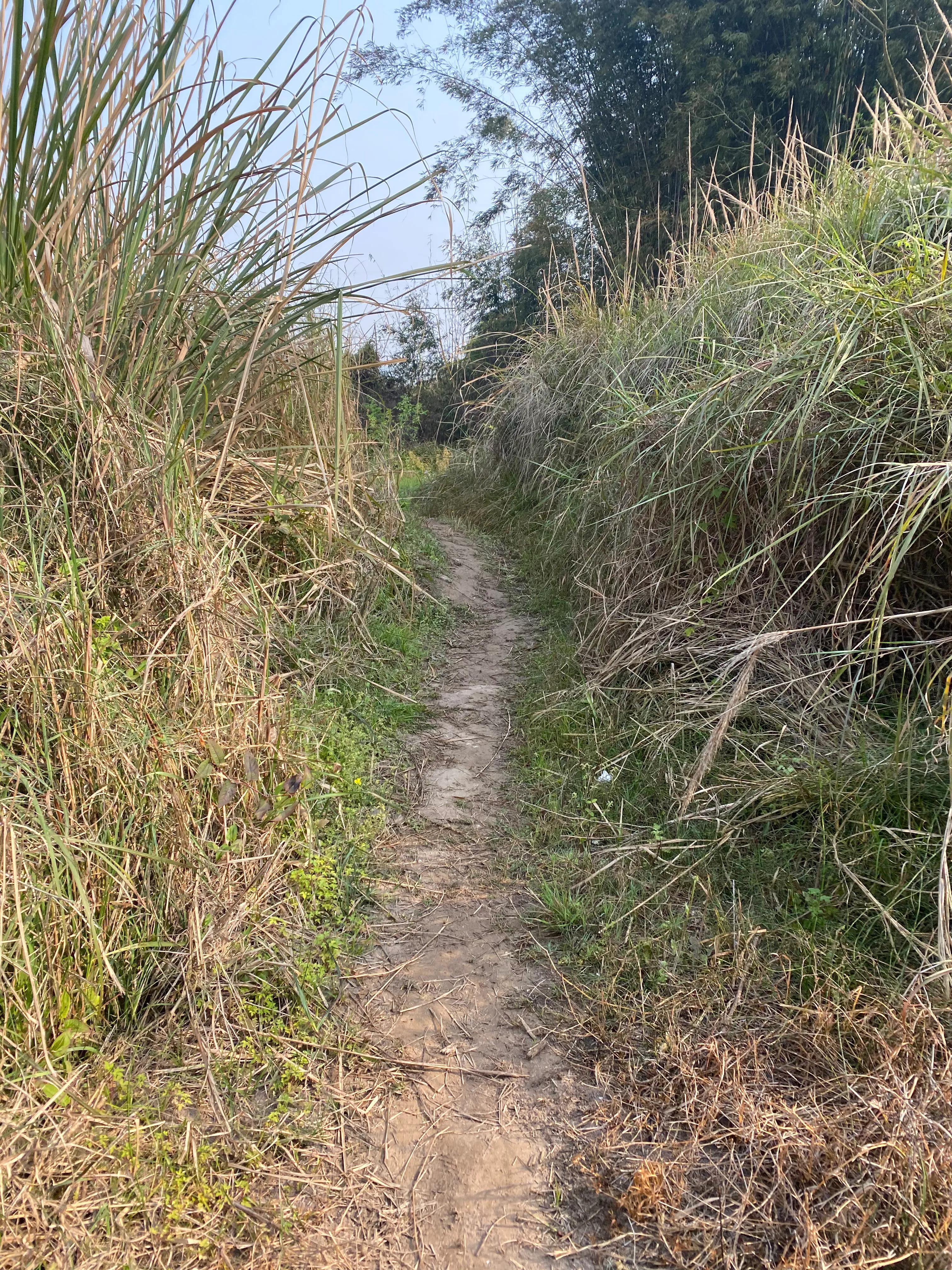 江津區(qū)龍華鎮(zhèn)最新信息與溫馨日常報(bào)道