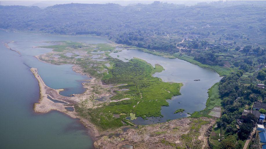 江津區(qū)龍華鎮(zhèn)最新信息與溫馨日常報(bào)道