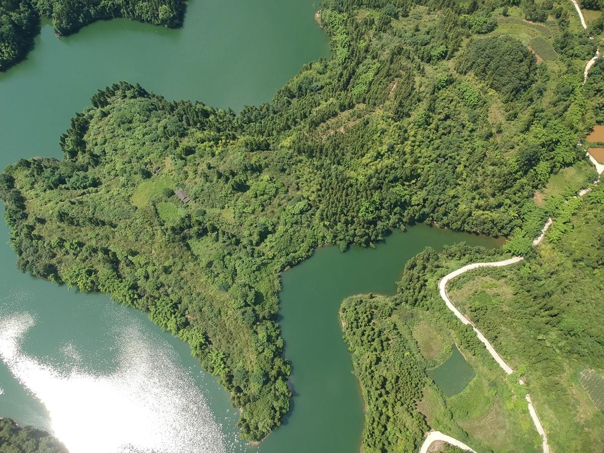 四川南充最新公路消息，駛向自然，探尋內(nèi)心桃花源之路