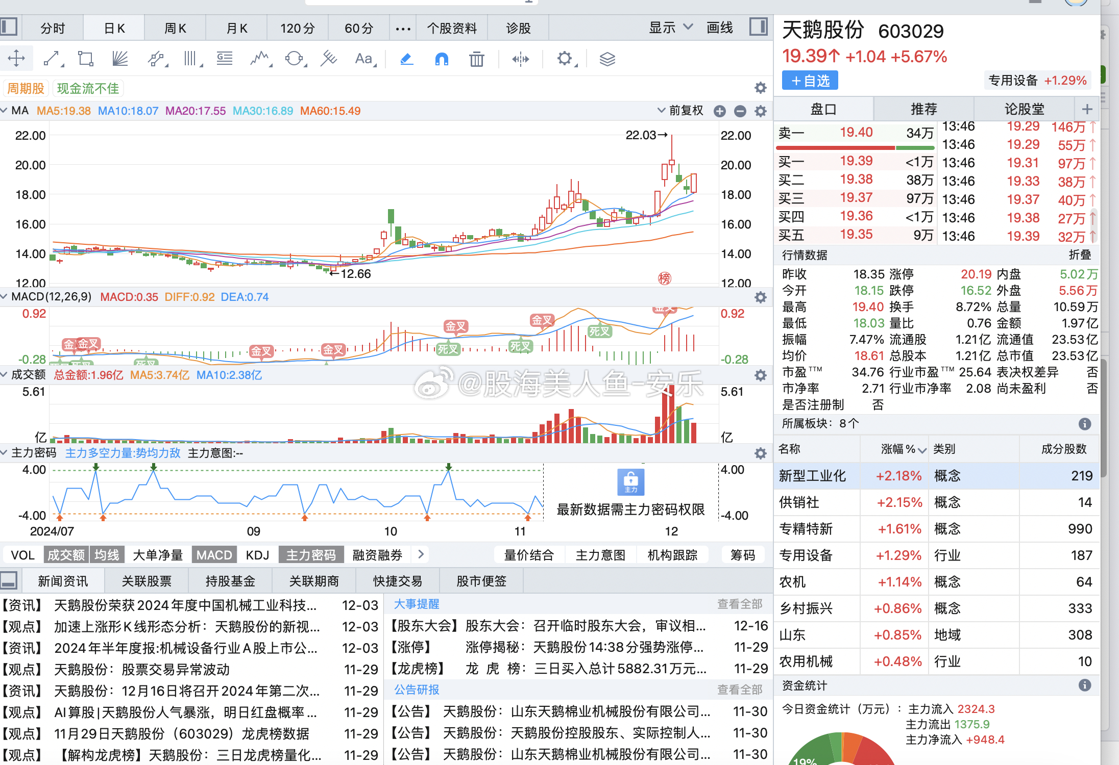 天鵝股份最新股票行情分析與操作指南揭秘