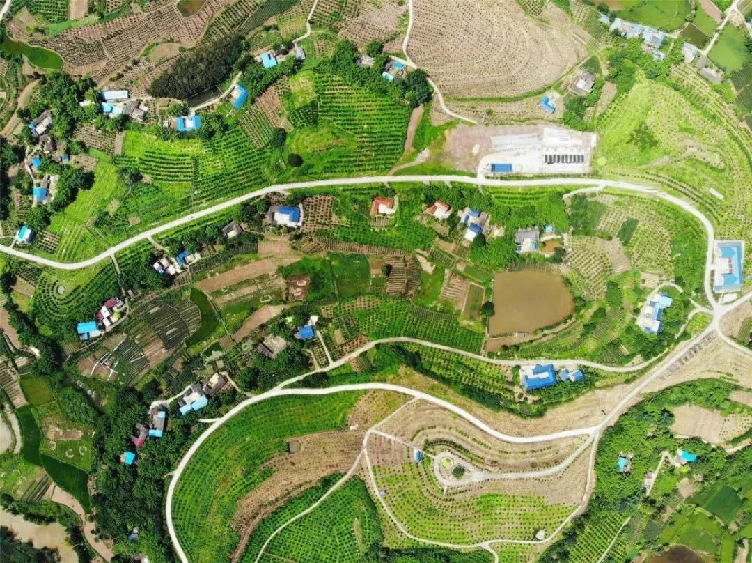 最新井研干部任前公示及步驟指南