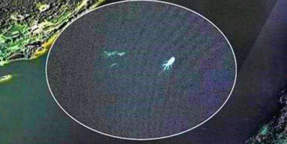 云南板橋水怪最新動(dòng)態(tài)揭秘