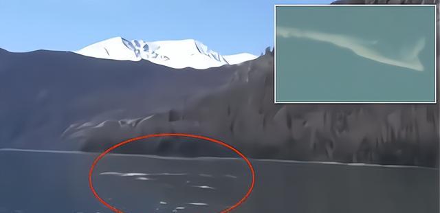 云南板橋水怪最新動(dòng)態(tài)揭秘