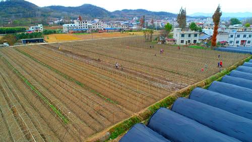 蘭州城關(guān)區(qū)公租房最新動(dòng)態(tài)消息發(fā)布