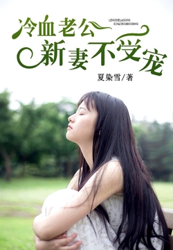 簡(jiǎn)夏冷彥小說(shuō)最新閱讀，小巷神秘書(shū)香小屋的奇遇