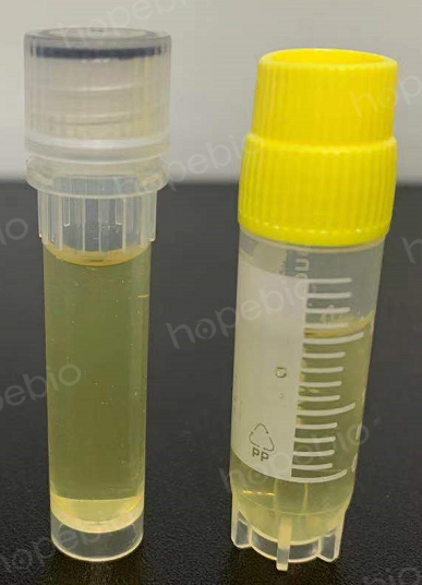 科技重塑生命之源，最新型液體菌種培養(yǎng)器開啟培育新紀元