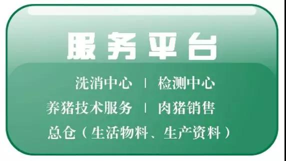 貴港揚翔最新招聘信息，探尋職業(yè)發(fā)展的理想舞臺，等你來挑戰(zhàn)！