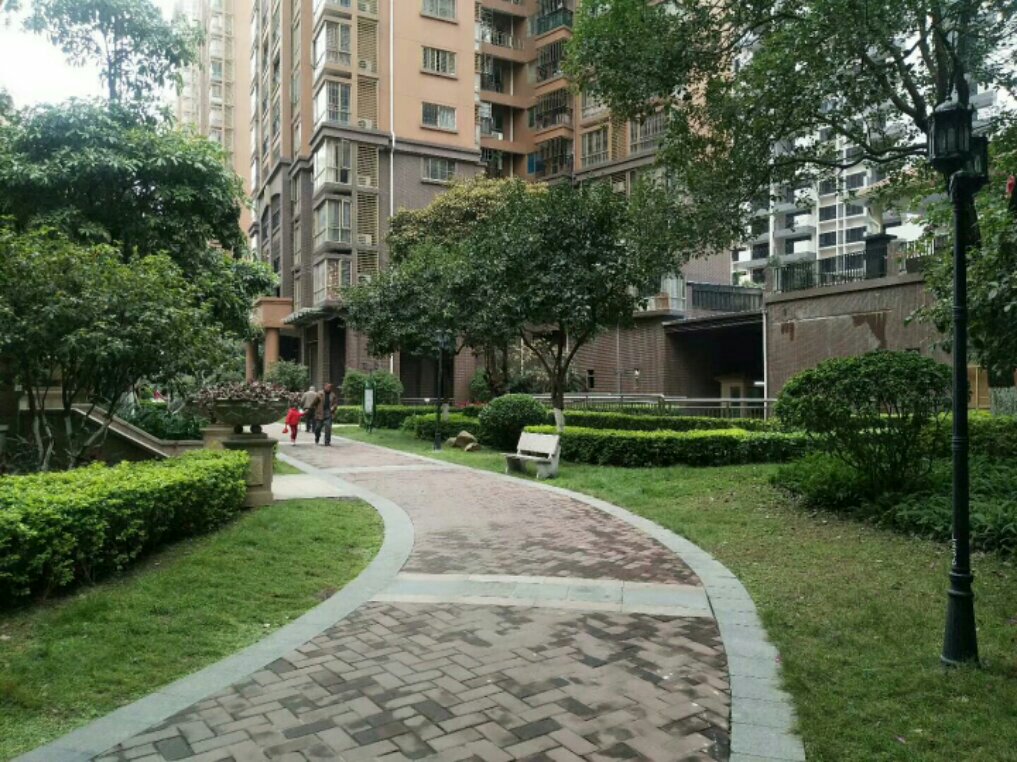 清遠中恒公園最新房價揭秘，小巷深處的意外發(fā)現(xiàn)